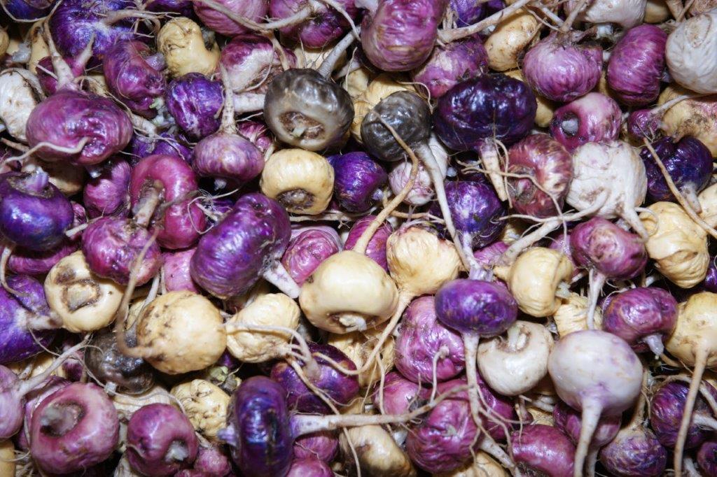 Bio Maca, Kapseln