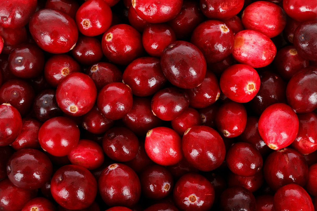 Bio Dattel-Cranberry-Konfekt mit Himbeeren