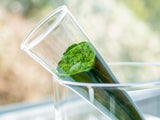 Austrian Chlorella, 240 Presslinge
