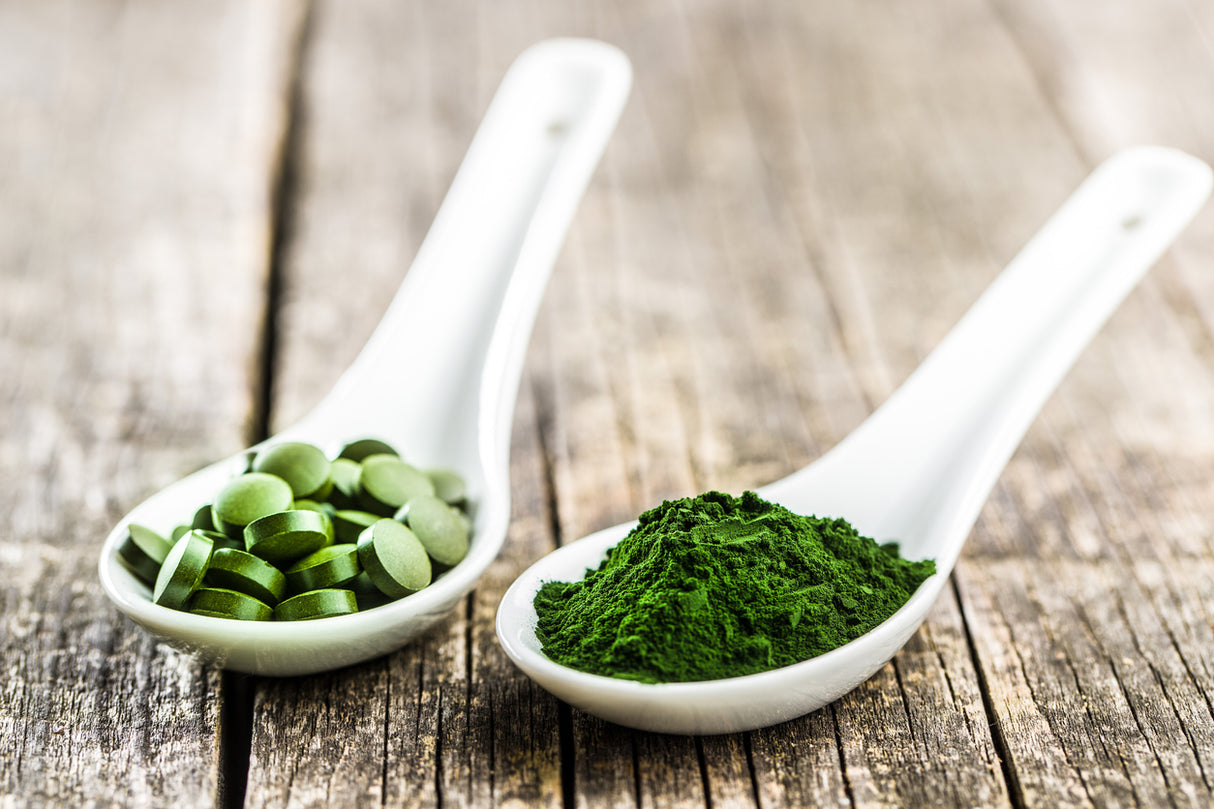 Bio Chlorella-Algen, Pulver