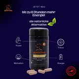 Berglöwe Daily Hero - Natural Performance Booster, 60 Kapseln