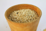 Bio Amaranth
