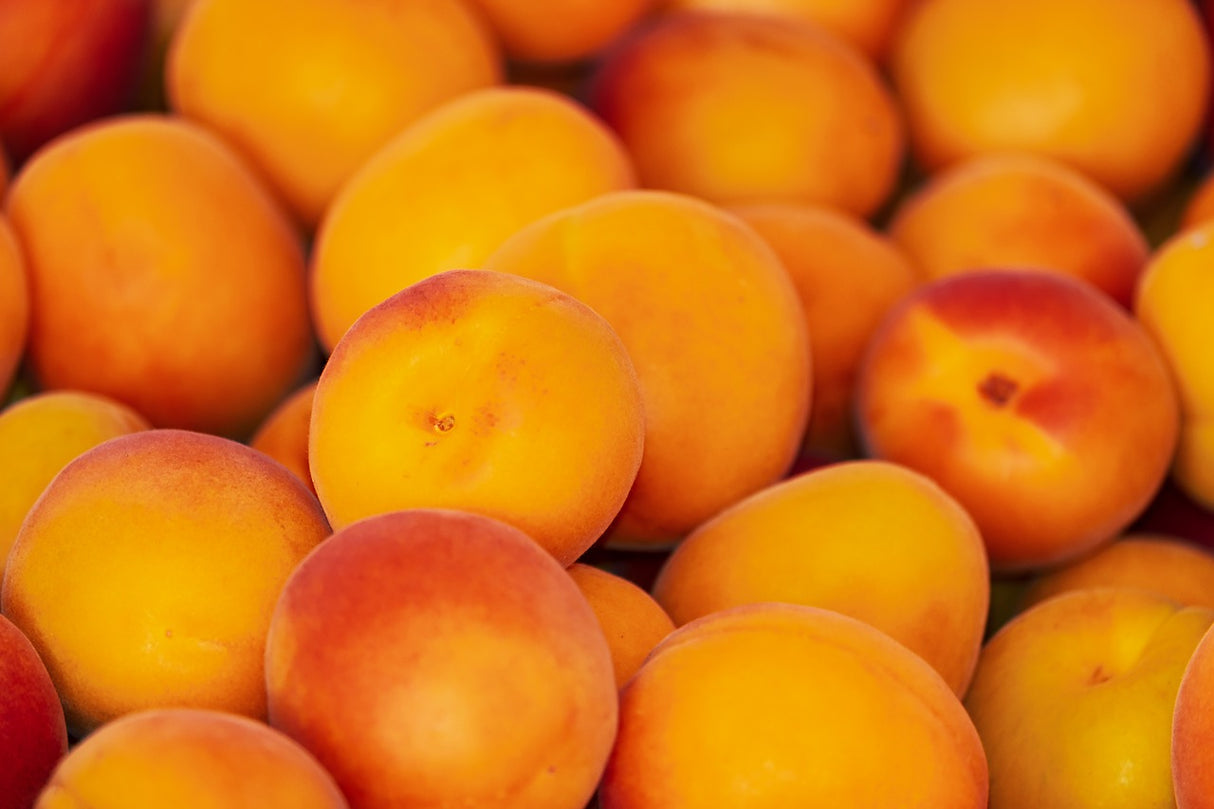 Bio Aprikosenkofekt mit Cranberrys