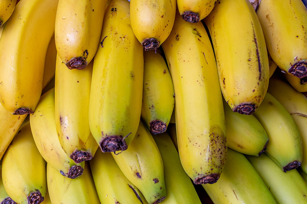 Bio Milch Protein Banane 85, Banane