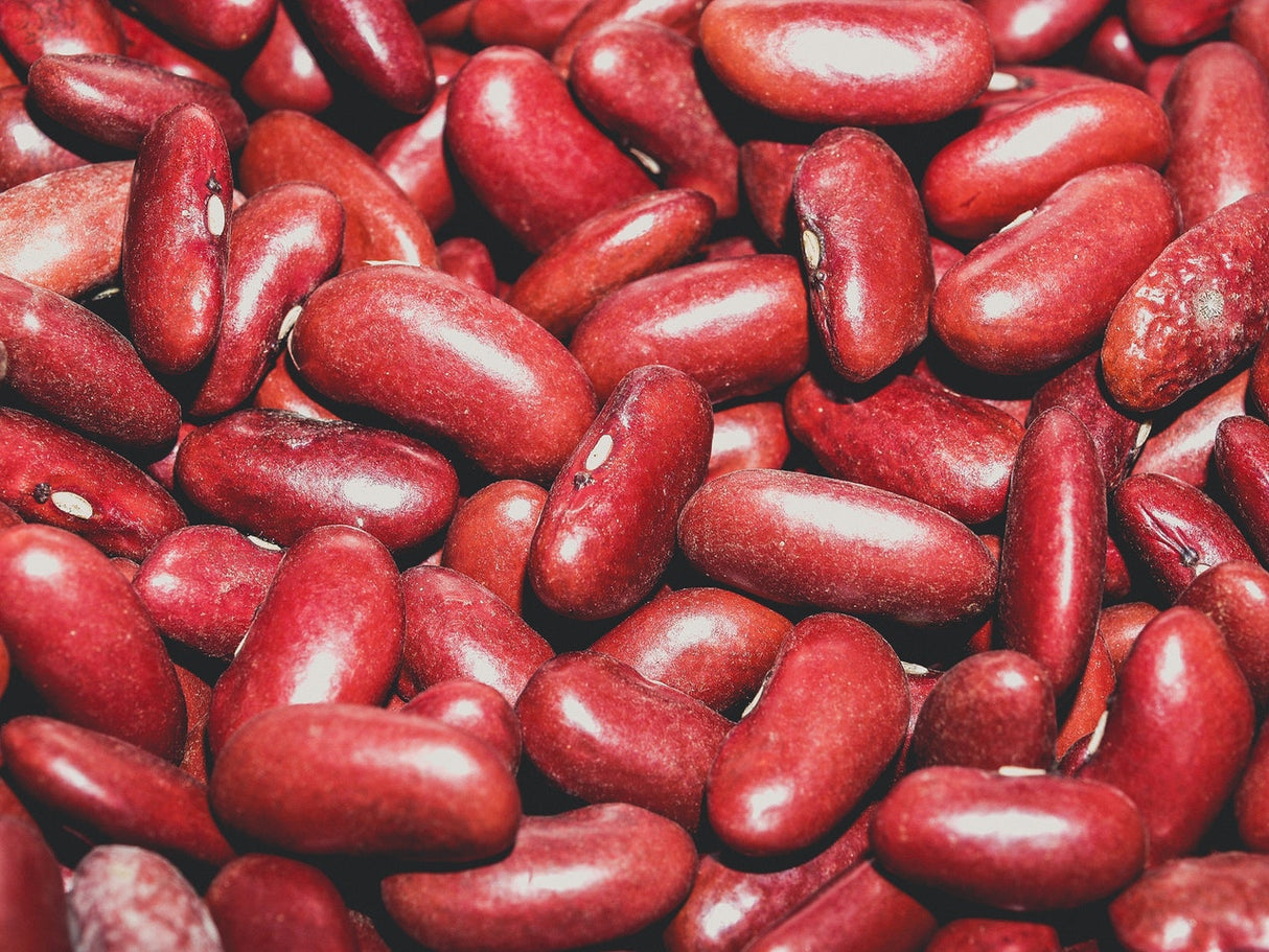 Bio Kidney-Bohnen, rot