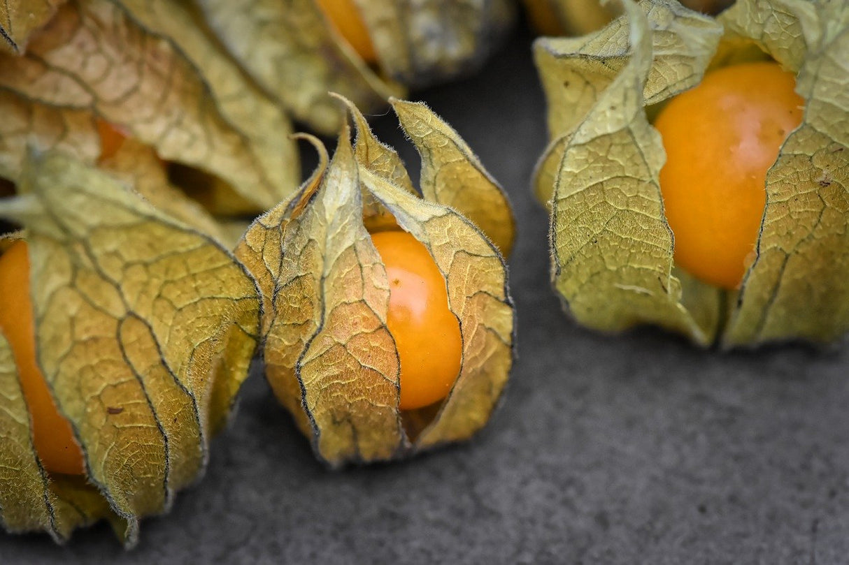 Bio Physalis, getrocknet