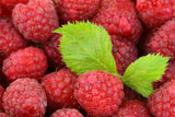 Bio Dattel-Cranberry-Konfekt mit Himbeeren