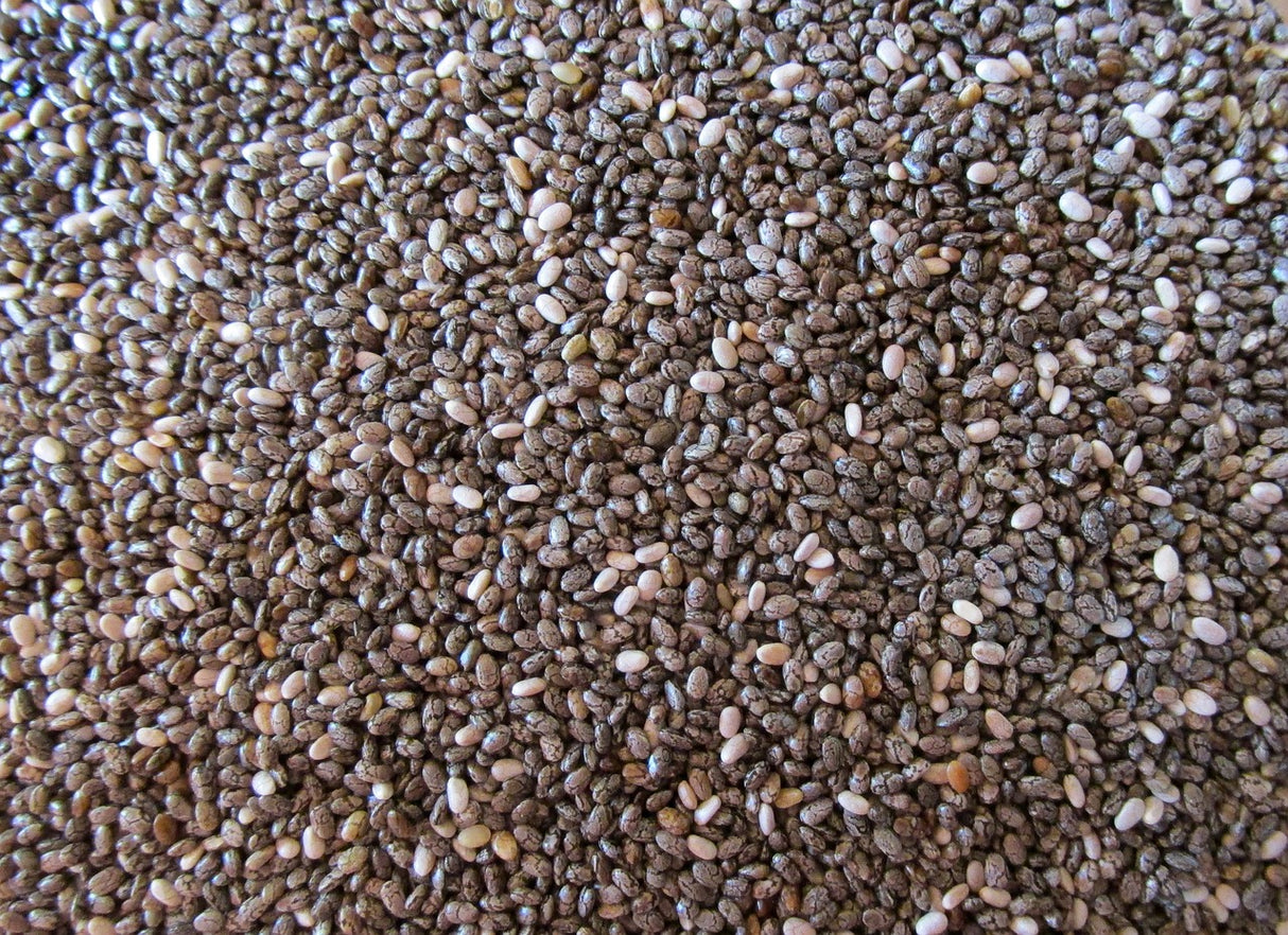 Bio Chia-Samen