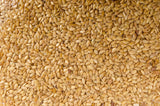 Bio Sesam