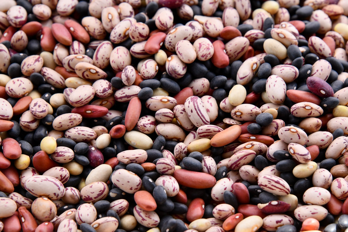 Bio Hülsenfrüchte, bunt