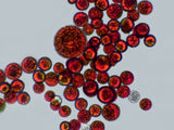 Austrian Astaxanthin +D3 +E