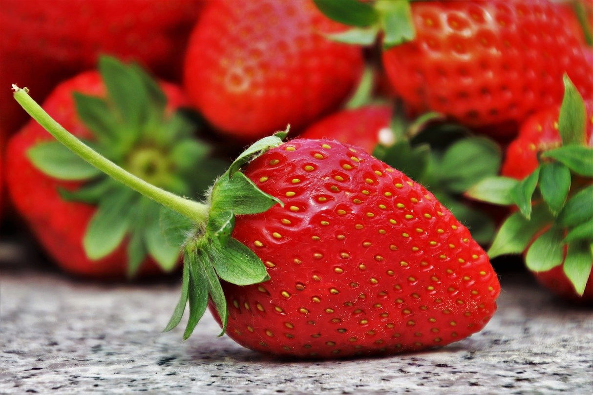 Bio Erdbeeren, gefriergetrocknet
